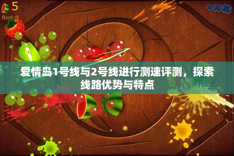 爱情岛1号线与2号线进行测速评测，探索线路优势与特点