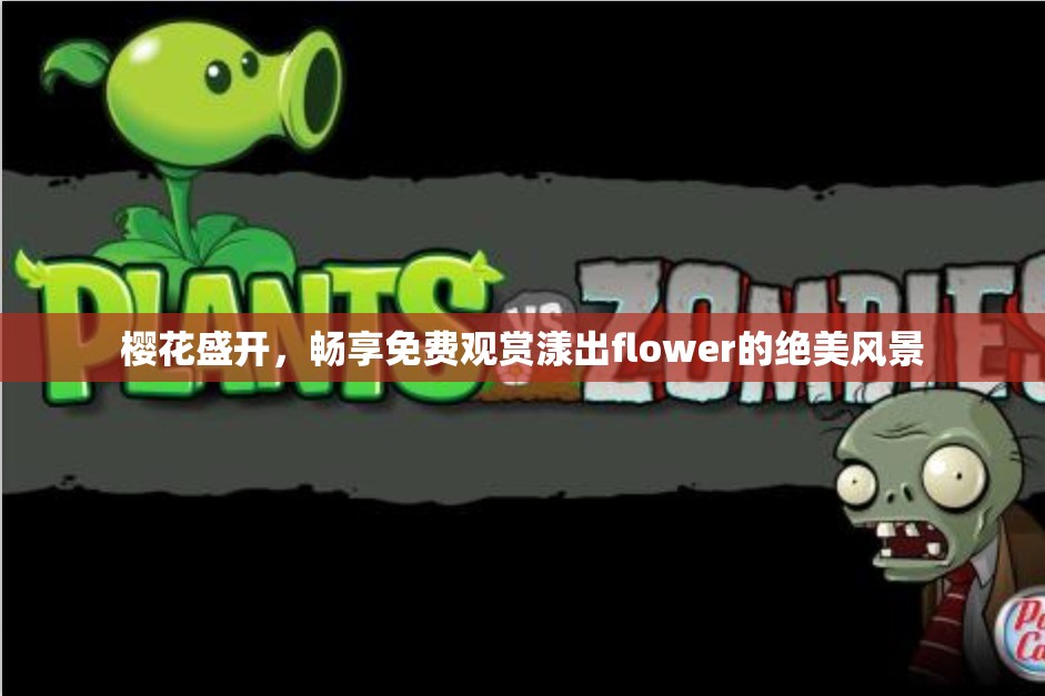 樱花盛开，畅享免费观赏漾出flower的绝美风景