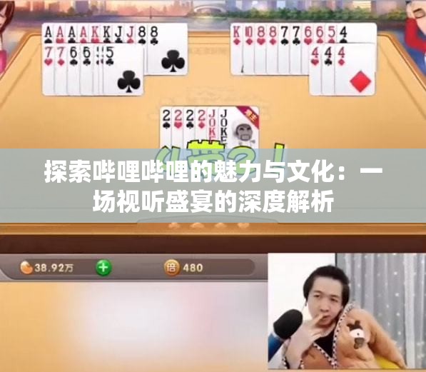 探索哔哩哔哩的魅力与文化：一场视听盛宴的深度解析