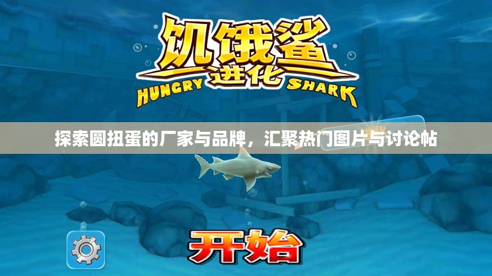 探索圆扭蛋的厂家与品牌，汇聚热门图片与讨论帖