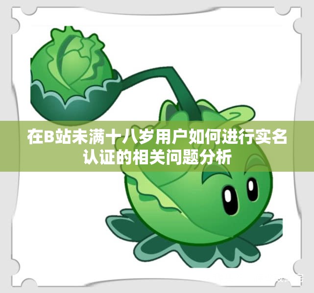 在B站未满十八岁用户如何进行实名认证的相关问题分析