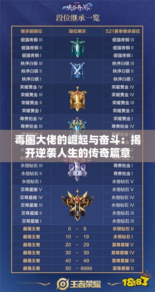 毒圈大佬的崛起与奋斗：揭开逆袭人生的传奇篇章