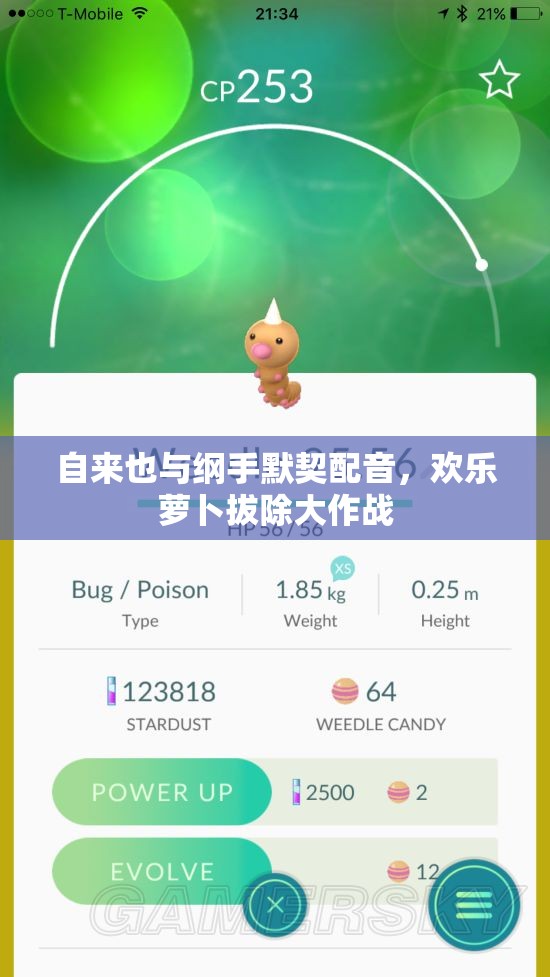 自来也与纲手默契配音，欢乐萝卜拔除大作战