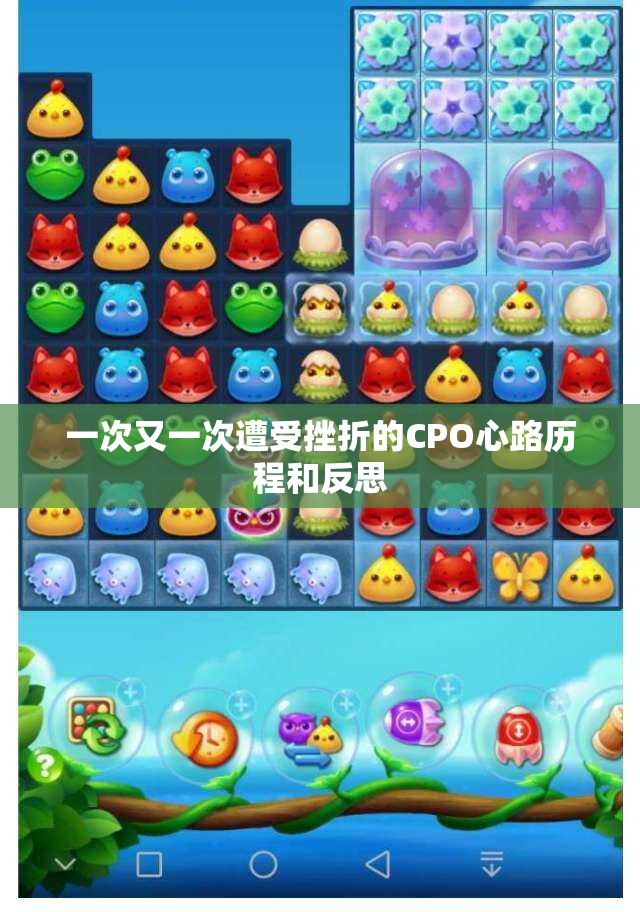 一次又一次遭受挫折的CPO心路历程和反思