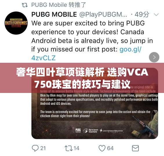 奢华四叶草项链解析 选购VCA750珠宝的技巧与建议