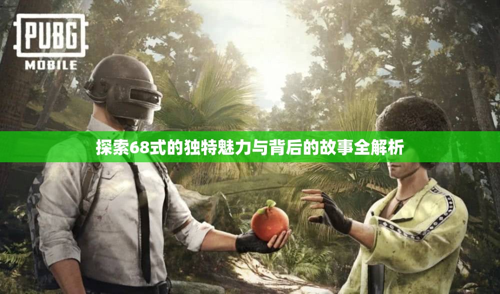 探索68式的独特魅力与背后的故事全解析