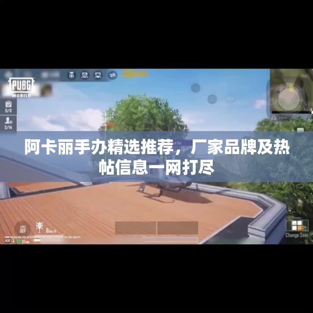 阿卡丽手办精选推荐，厂家品牌及热帖信息一网打尽