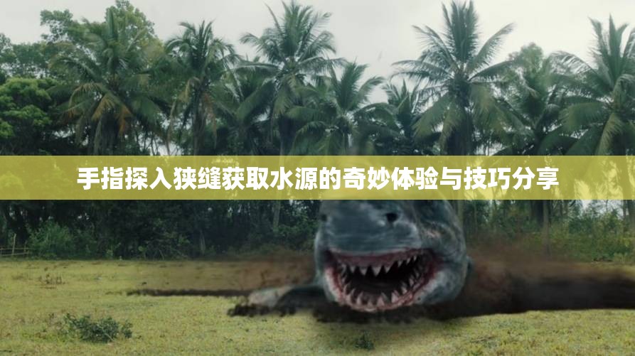 手指探入狭缝获取水源的奇妙体验与技巧分享