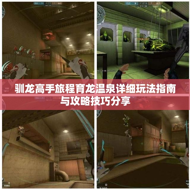 驯龙高手旅程育龙温泉详细玩法指南与攻略技巧分享
