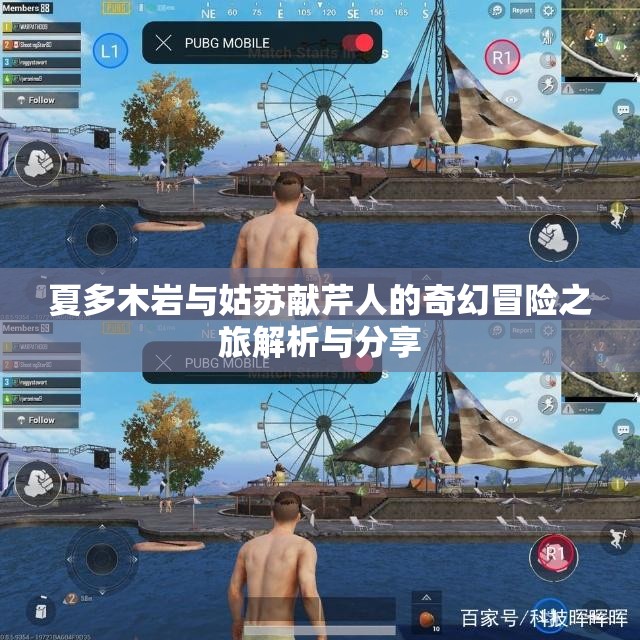 夏多木岩与姑苏献芹人的奇幻冒险之旅解析与分享
