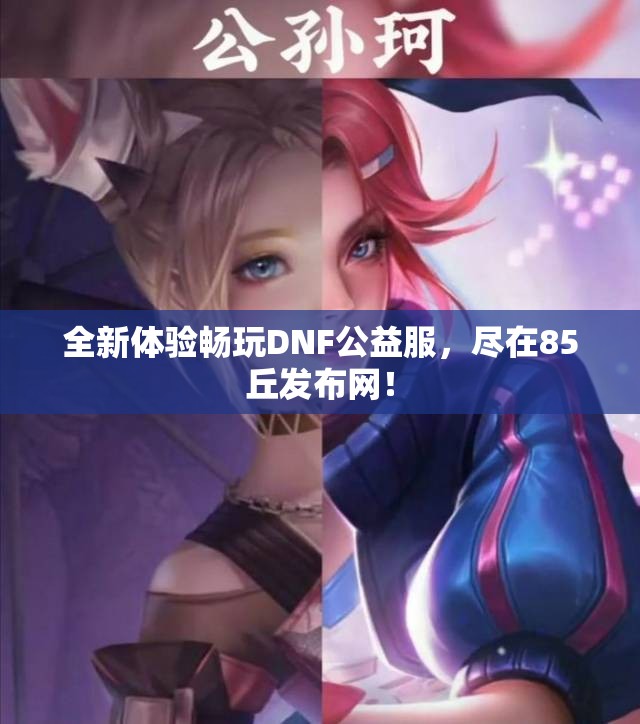全新体验畅玩DNF公益服，尽在85丘发布网！