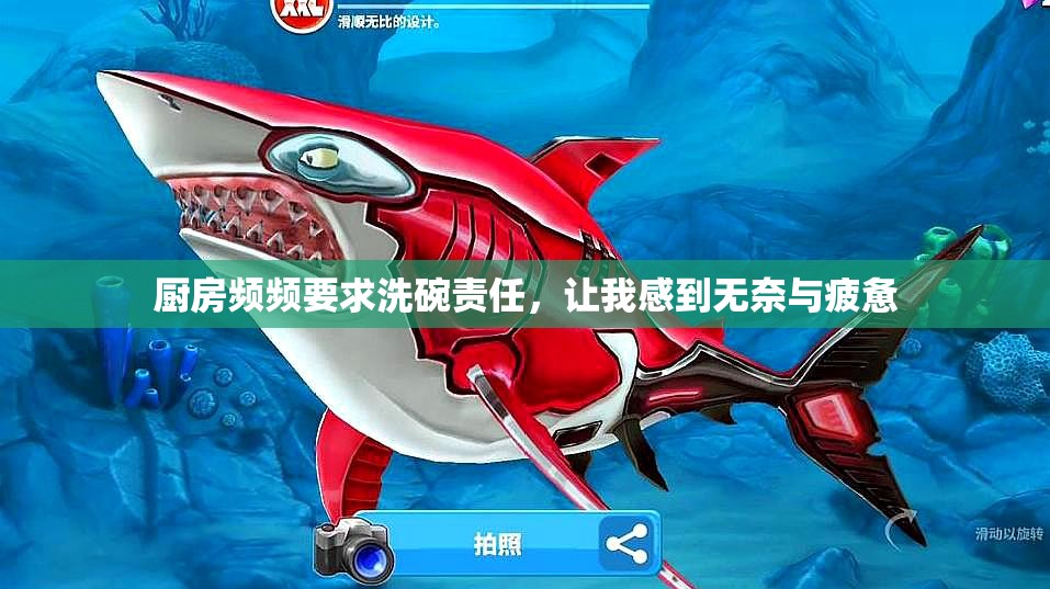 厨房频频要求洗碗责任，让我感到无奈与疲惫
