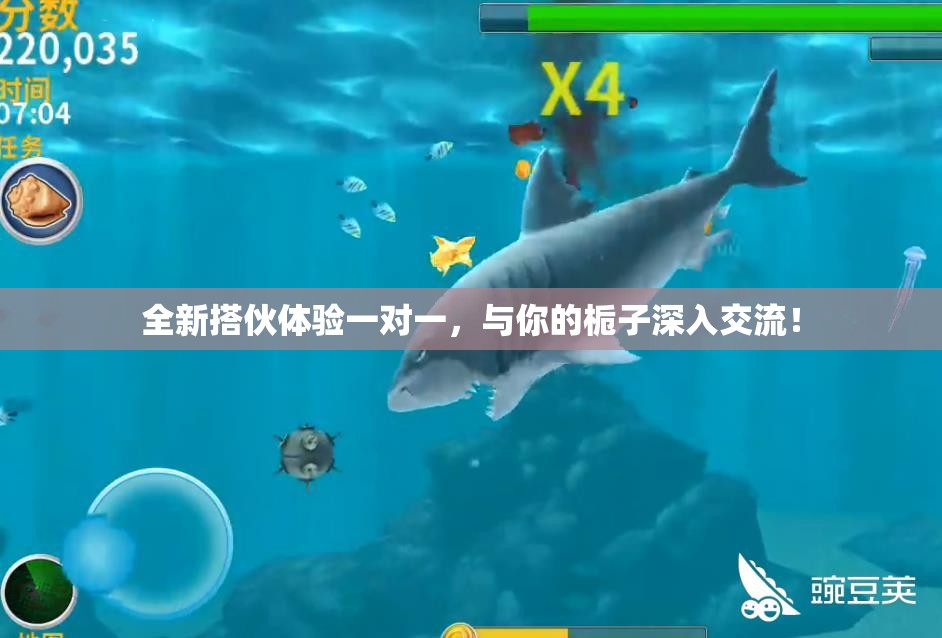 全新搭伙体验一对一，与你的栀子深入交流！