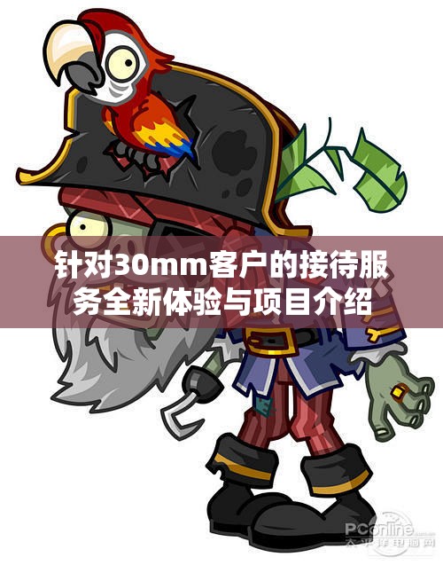 针对30mm客户的接待服务全新体验与项目介绍
