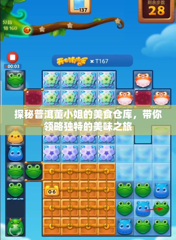 探秘普洱董小姐的美食仓库，带你领略独特的美味之旅