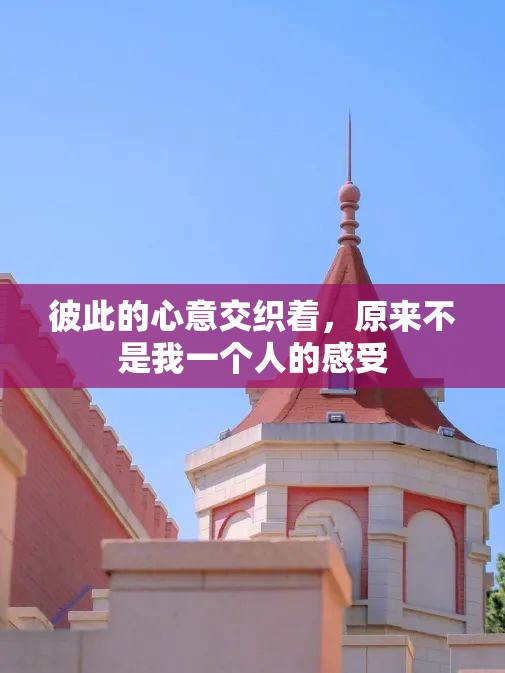 彼此的心意交织着，原来不是我一个人的感受