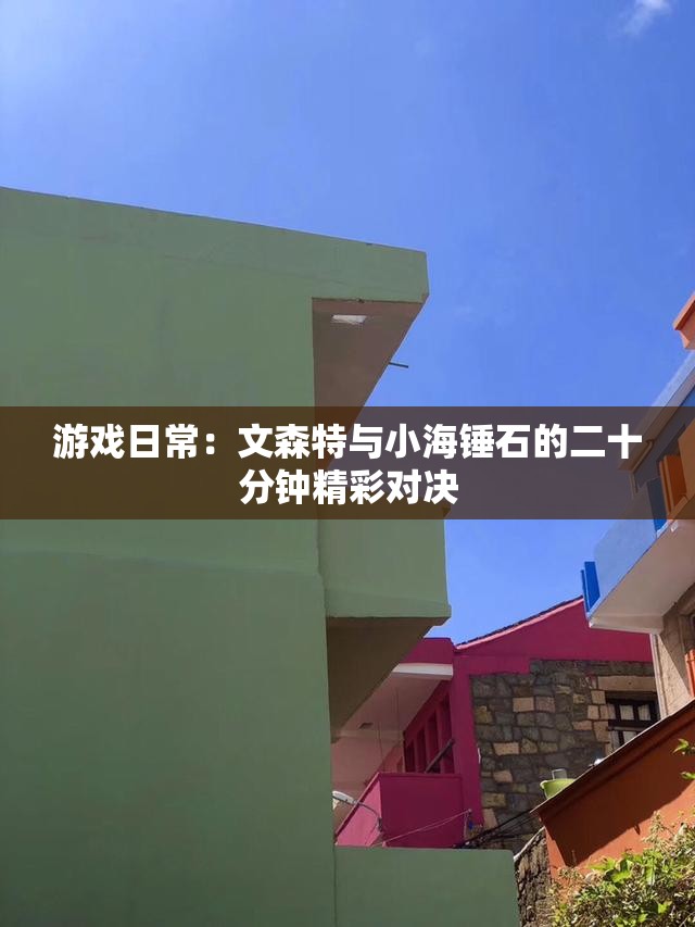 游戏日常：文森特与小海锤石的二十分钟精彩对决