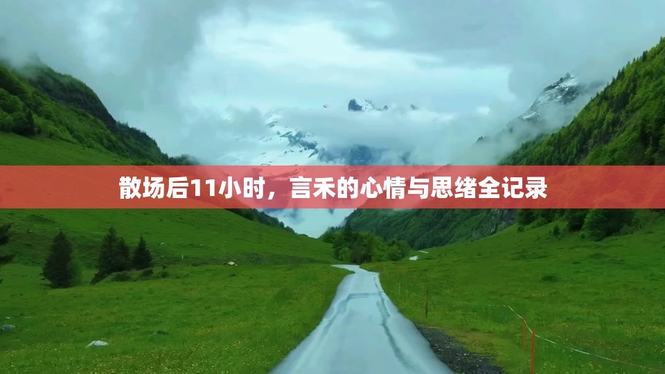 散场后11小时，言禾的心情与思绪全记录