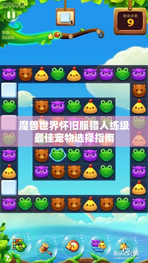 魔兽世界怀旧服猎人练级最佳宠物选择指南