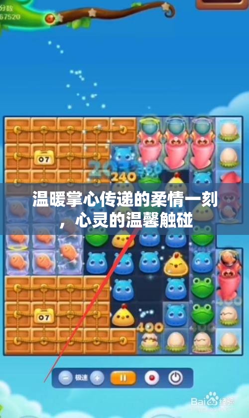 温暖掌心传递的柔情一刻，心灵的温馨触碰