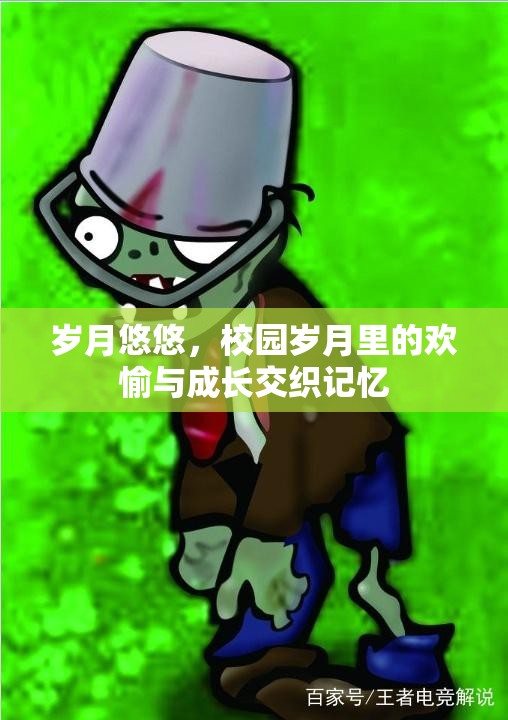 岁月悠悠，校园岁月里的欢愉与成长交织记忆