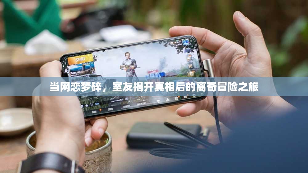 当网恋梦碎，室友揭开真相后的离奇冒险之旅