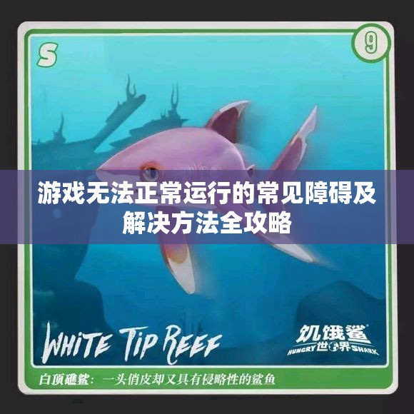 游戏无法正常运行的常见障碍及解决方法全攻略