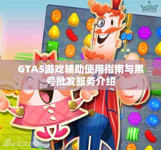 GTA5游戏辅助使用指南与黑号批发服务介绍