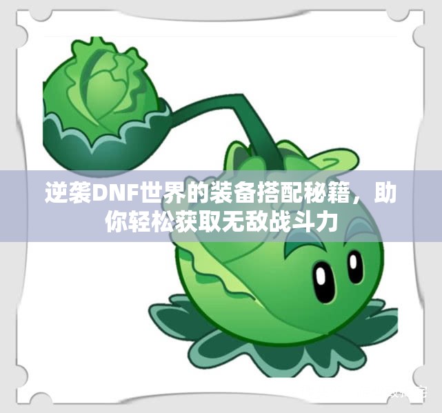 逆袭DNF世界的装备搭配秘籍，助你轻松获取无敌战斗力