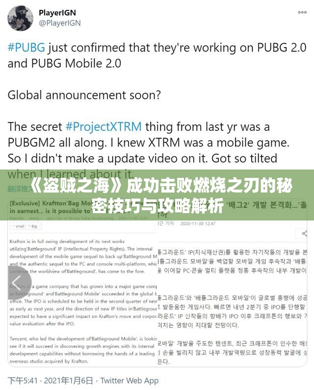 《盗贼之海》成功击败燃烧之刃的秘密技巧与攻略解析