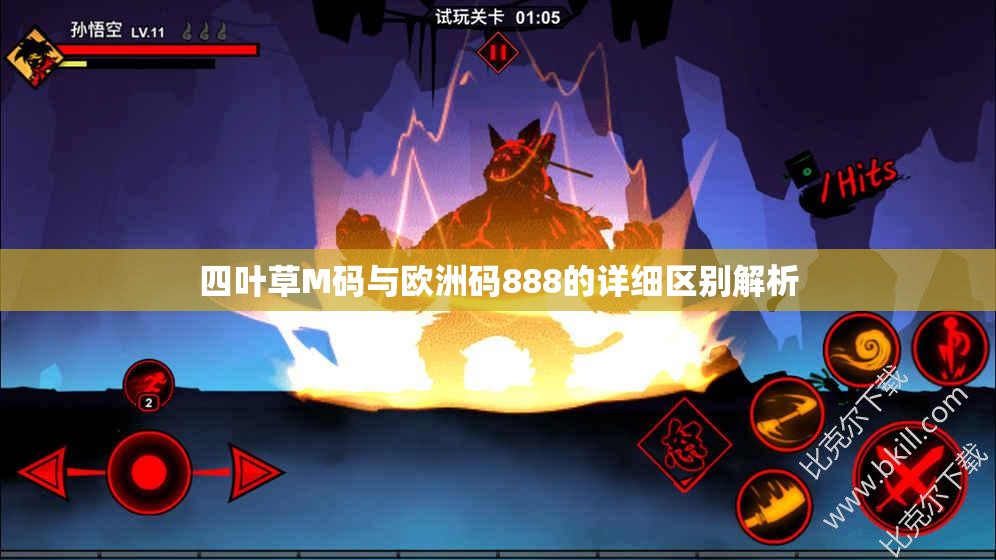 四叶草M码与欧洲码888的详细区别解析