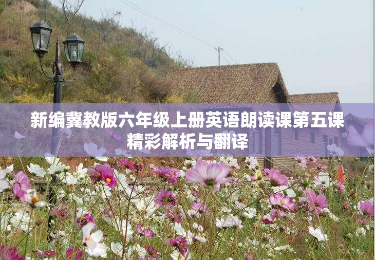 新编冀教版六年级上册英语朗读课第五课精彩解析与翻译