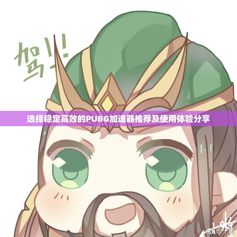 选择稳定高效的PUBG加速器推荐及使用体验分享