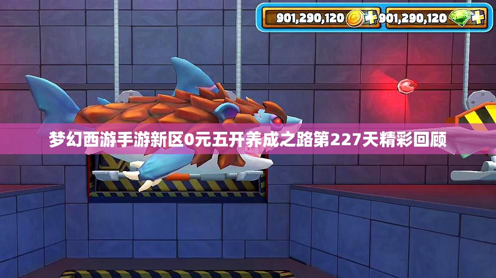 梦幻西游手游新区0元五开养成之路第227天精彩回顾