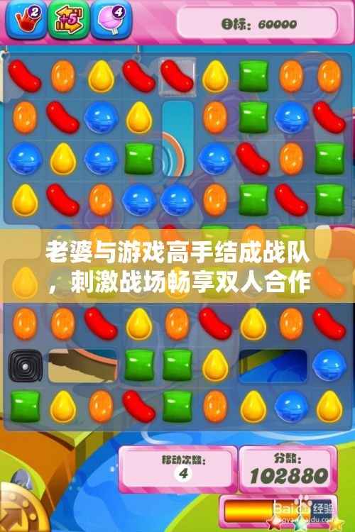 老婆与游戏高手结成战队，刺激战场畅享双人合作乐趣