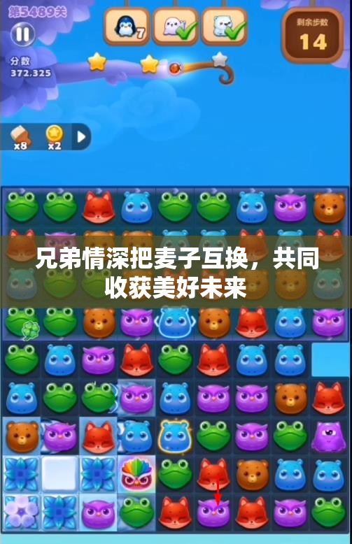 兄弟情深把麦子互换，共同收获美好未来