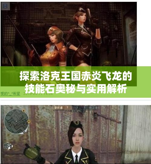 探索洛克王国赤炎飞龙的技能石奥秘与实用解析