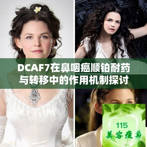 DCAF7在鼻咽癌顺铂耐药与转移中的作用机制探讨