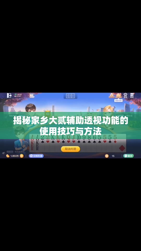 揭秘家乡大贰辅助透视功能的使用技巧与方法