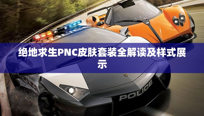 绝地求生PNC皮肤套装全解读及样式展示