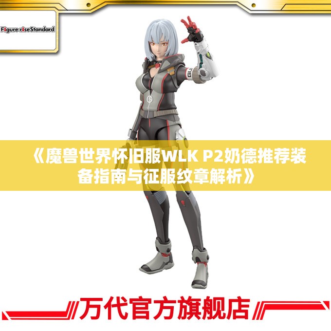 《魔兽世界怀旧服WLK P2奶德推荐装备指南与征服纹章解析》