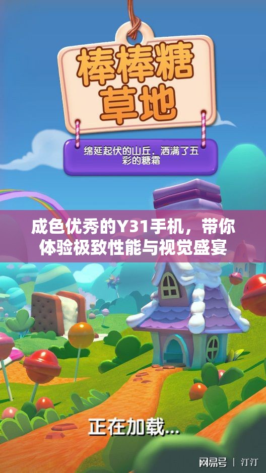 成色优秀的Y31手机，带你体验极致性能与视觉盛宴