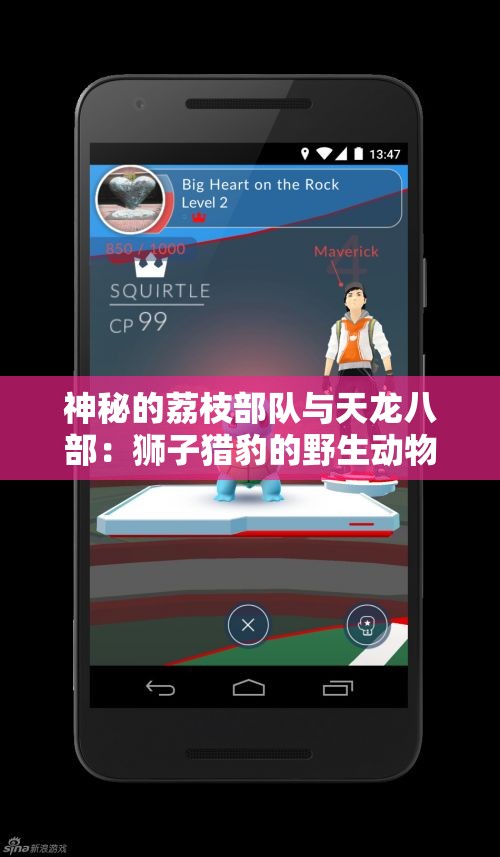 神秘的荔枝部队与天龙八部：狮子猎豹的野生动物捕食传奇