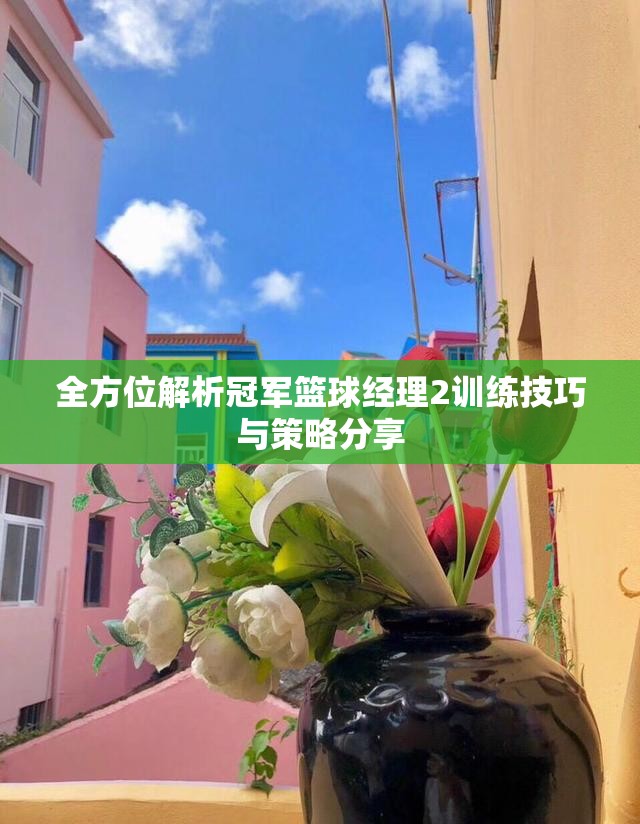 全方位解析冠军篮球经理2训练技巧与策略分享