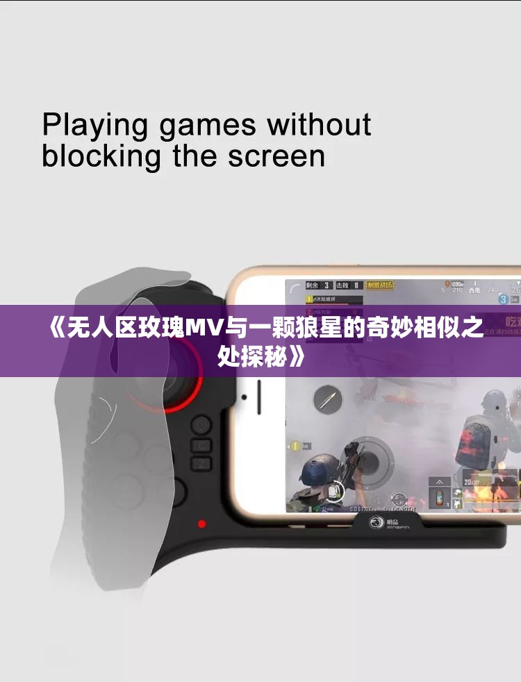《无人区玫瑰MV与一颗狼星的奇妙相似之处探秘》