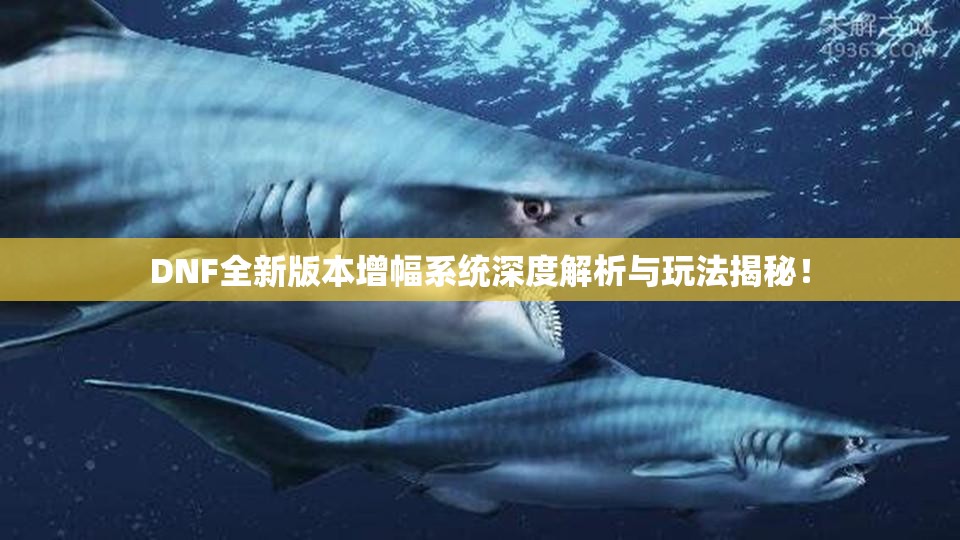 DNF全新版本增幅系统深度解析与玩法揭秘！