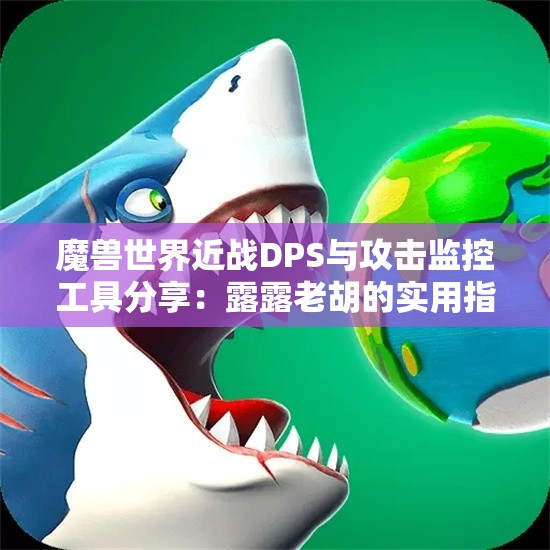 魔兽世界近战DPS与攻击监控工具分享：露露老胡的实用指南