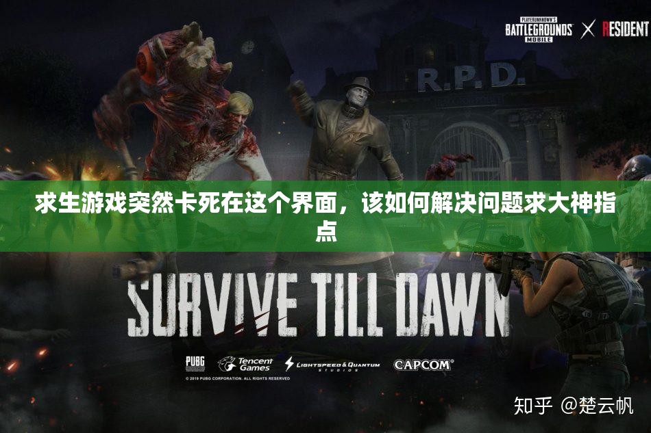 求生游戏突然卡死在这个界面，该如何解决问题求大神指点