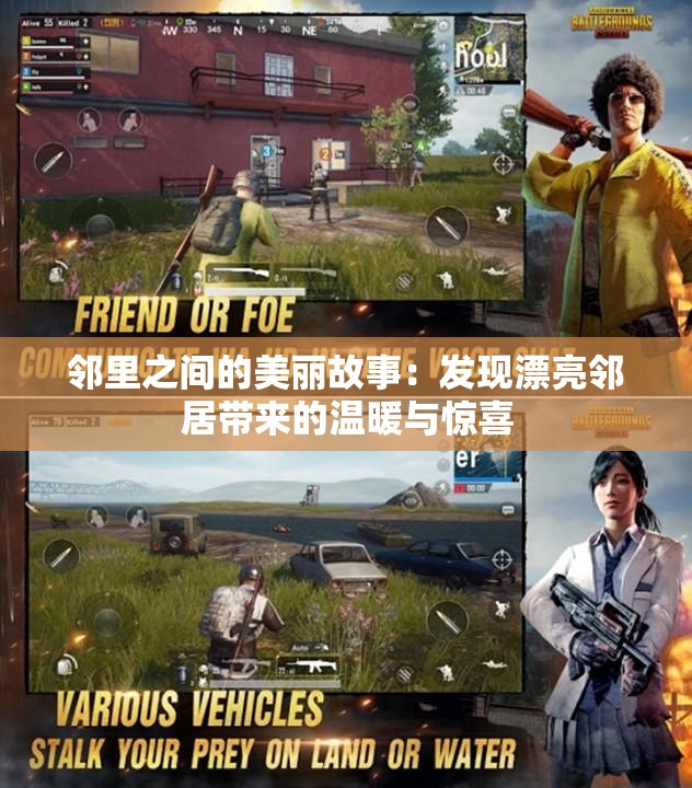 邻里之间的美丽故事：发现漂亮邻居带来的温暖与惊喜