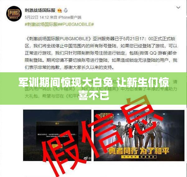 军训期间惊现大白兔 让新生们惊喜不已
